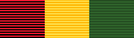 File:USA - PR SG Merit Achievement Award.png