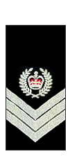 File:Vic-police-senior-sergeant.png