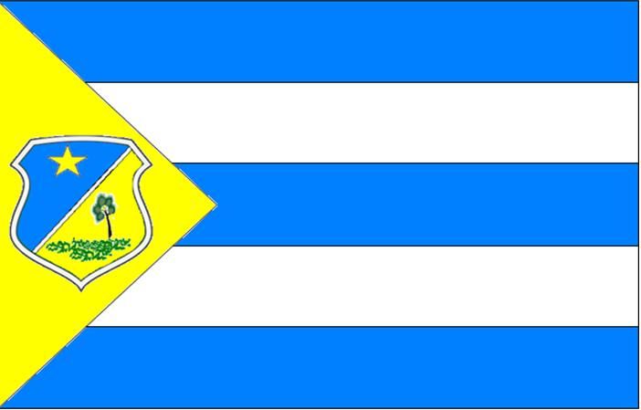 File:Bandeira Pacujá.JPG