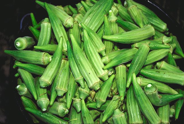 File:Bucket of raw okra pods.jpg