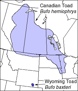 File:Canadian and Wyoming Toad Ranges.png