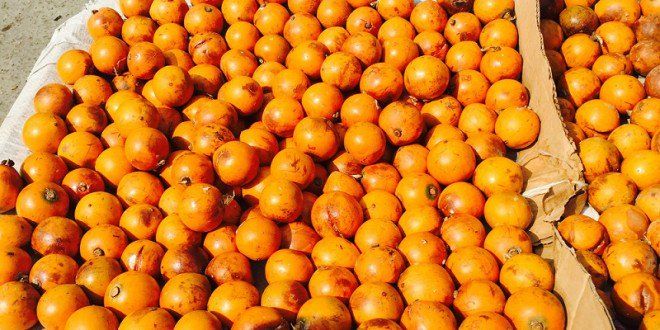 File:Cherry fruit on a tray.jpg