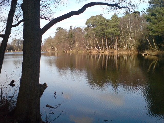 File:Douster Pond - geograph.org.uk - 1129307.jpg