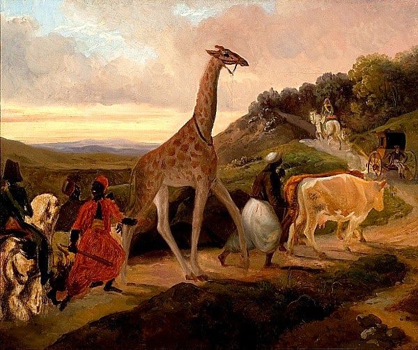 File:Giraffe Crossing (1827) by Jacques Raymond Brascassat.jpg