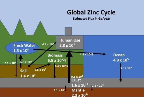 File:Global Zinc Cycle.jpg