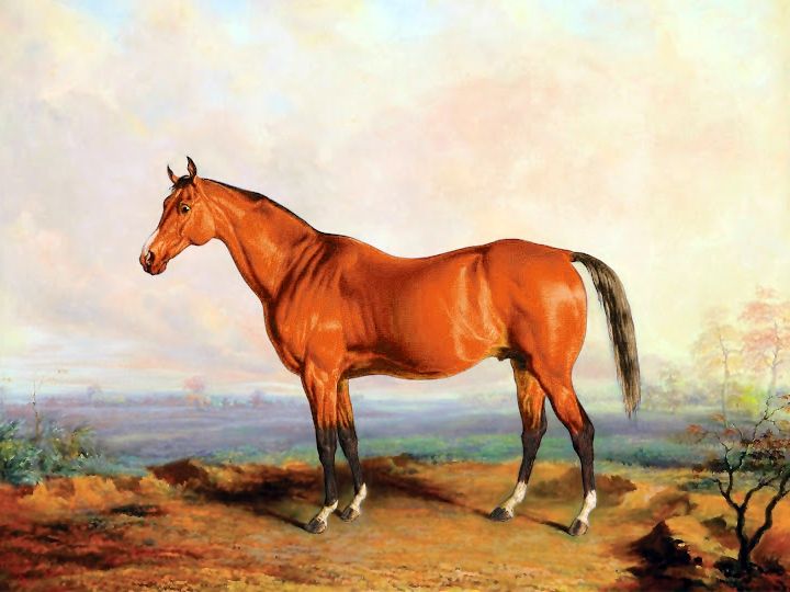 File:Lexington (Edward Troye).jpg