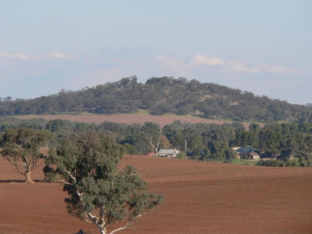 File:Moculta farmland.JPG