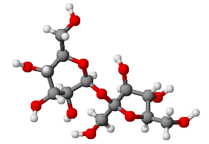 File:Molecule de saccharose.png