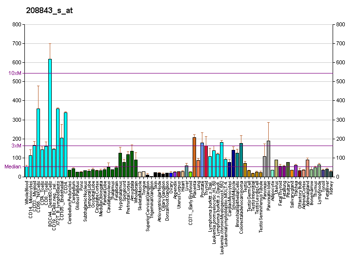 File:PBB GE GORASP2 208843 s at fs.png