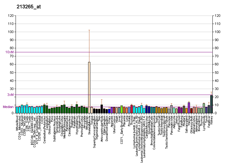 File:PBB GE PGA5 213265 at fs.png