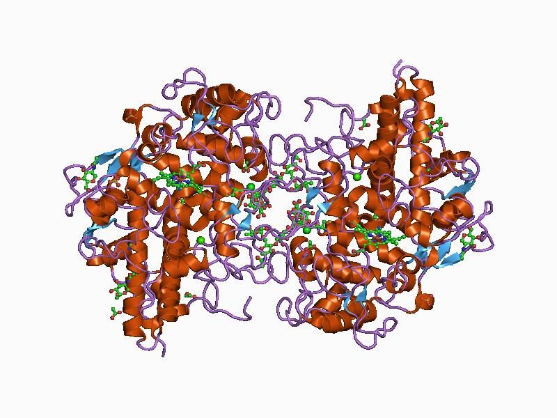 File:PDB 1d5l EBI.jpg