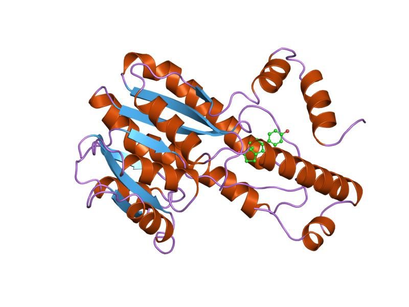 File:PDB 1fds EBI.jpg