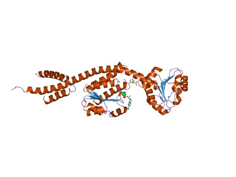 File:PDB 1gpj EBI.jpg