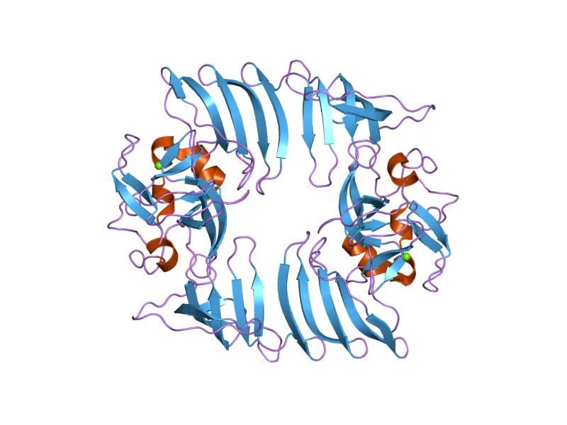 File:PDB 1h3i EBI.jpg