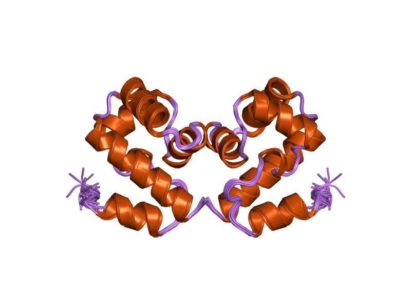 File:PDB 1qck EBI.jpg