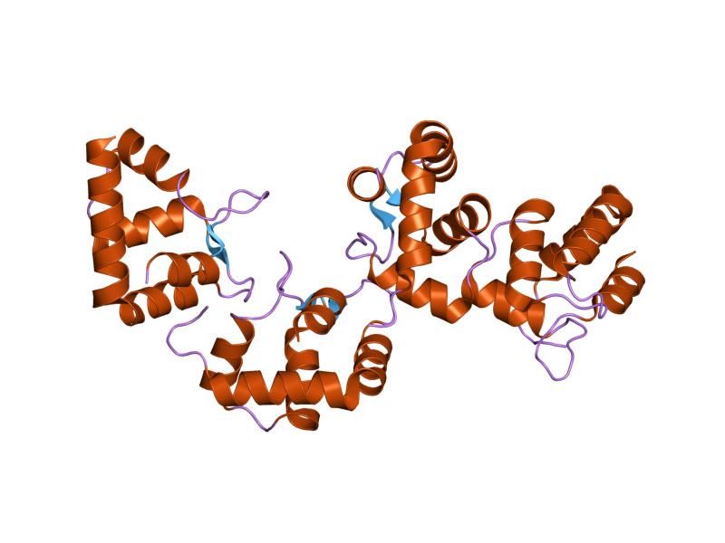 File:PDB 1wlz EBI.jpg