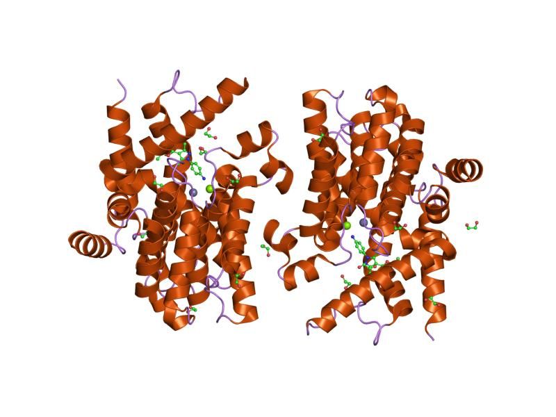 File:PDB 1y2e EBI.jpg