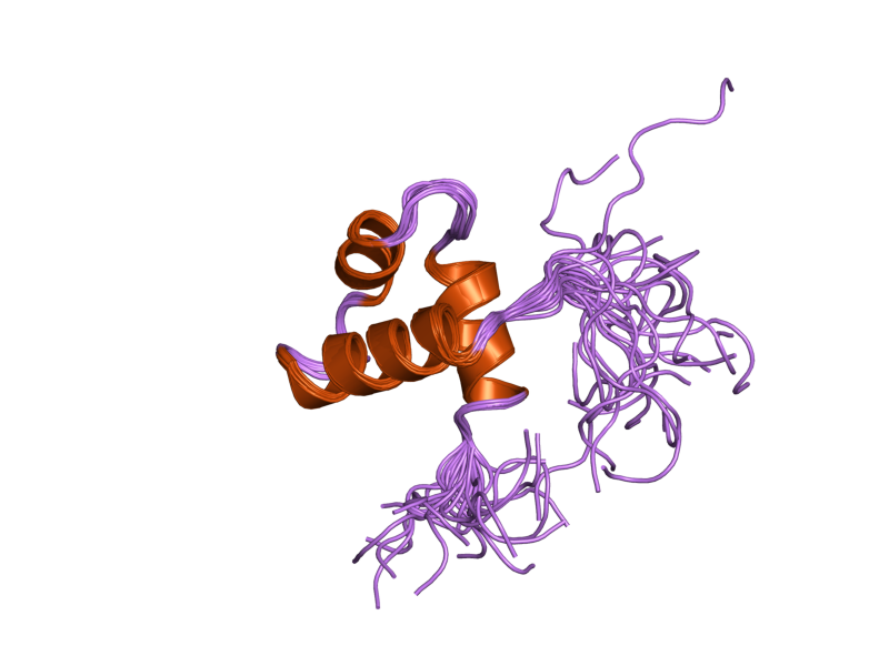 File:PDB 2d9a EBI.png