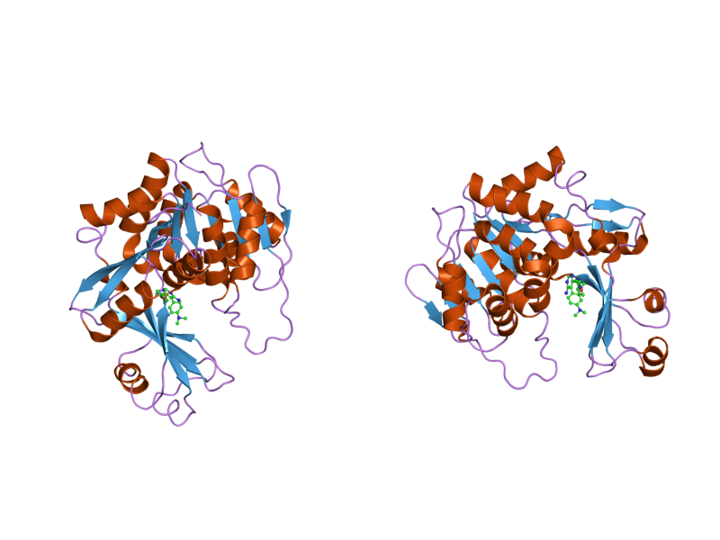 File:PDB 2i6b EBI.png