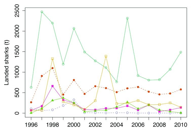 File:Shark landings in Peru.jpg