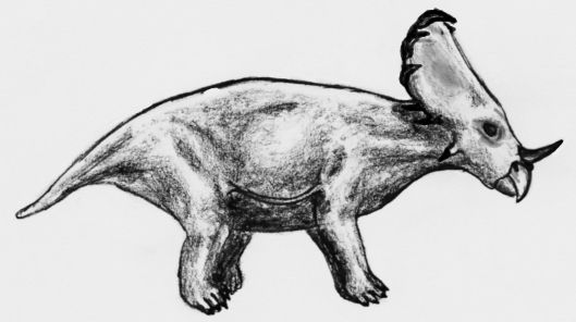 File:Sinoceratops.jpg