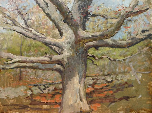 File:The Great Oak, Allen Butler Talcott.jpg