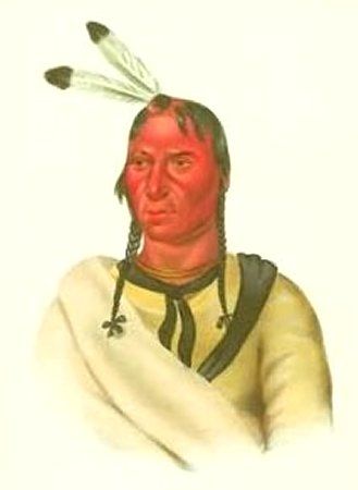 File:Chief Sleepy Eye of the Sisseton Sioux.jpg