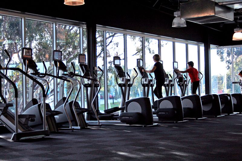 File:Gym Cardio Area Overlooking Greenery.JPG