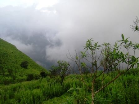 File:Kudachadri,scene1,kolur,karnataka.jpg