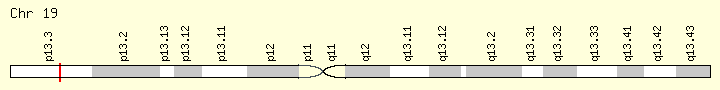 File:Locus of ANKRD24.png