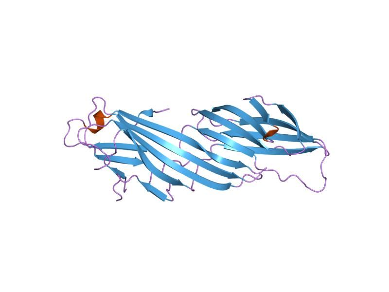 File:PDB 1i31 EBI.jpg