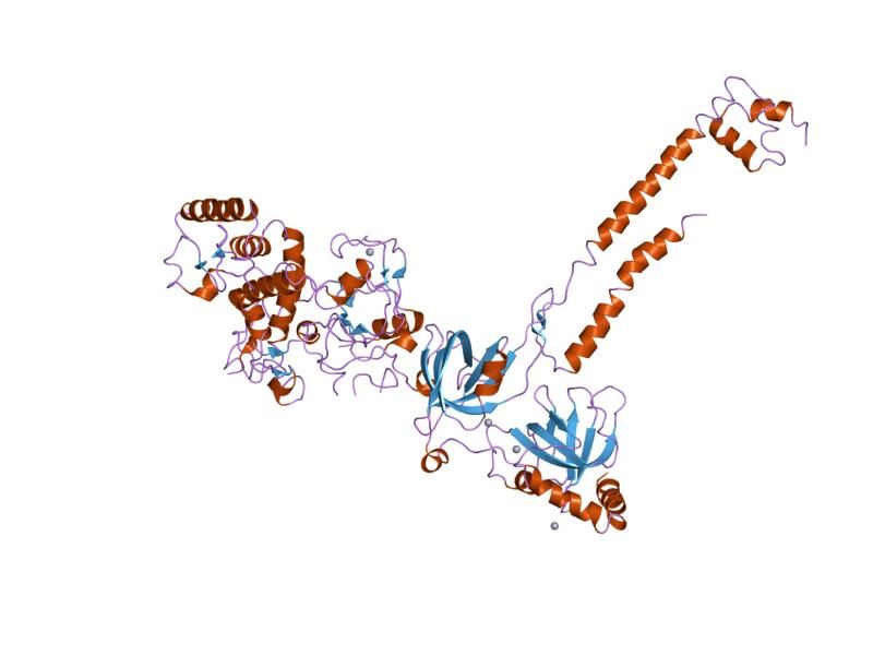 File:PDB 1miu EBI.jpg