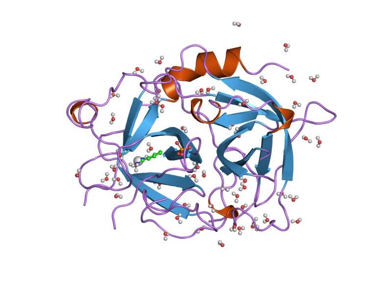 File:PDB 1rtf EBI.jpg