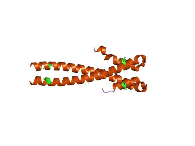 File:PDB 1yig EBI.jpg