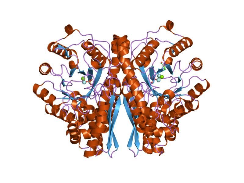 File:PDB 2akz EBI.jpg