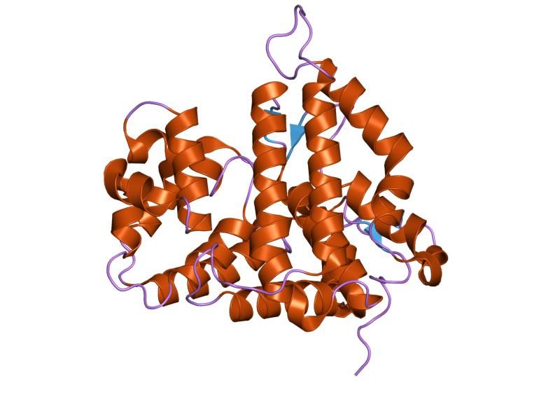 File:PDB 2ixm EBI.jpg