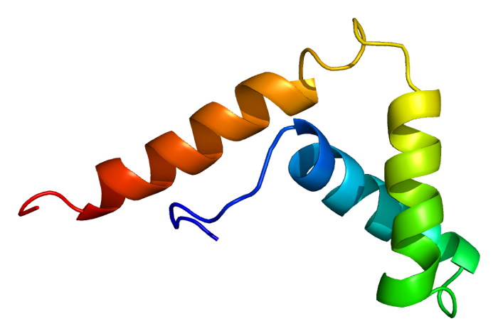 File:Protein SOX13 PDB 1i11.png