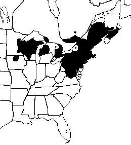 File:Wood turtle distribution-2.JPG