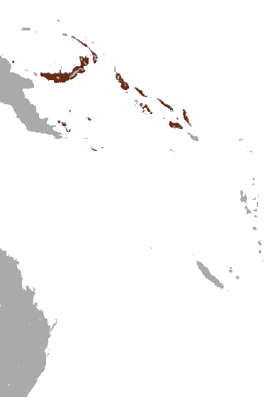 File:Island Tube-nosed Fruit Bat area.png