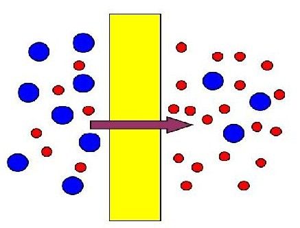 File:Membrane.jpg