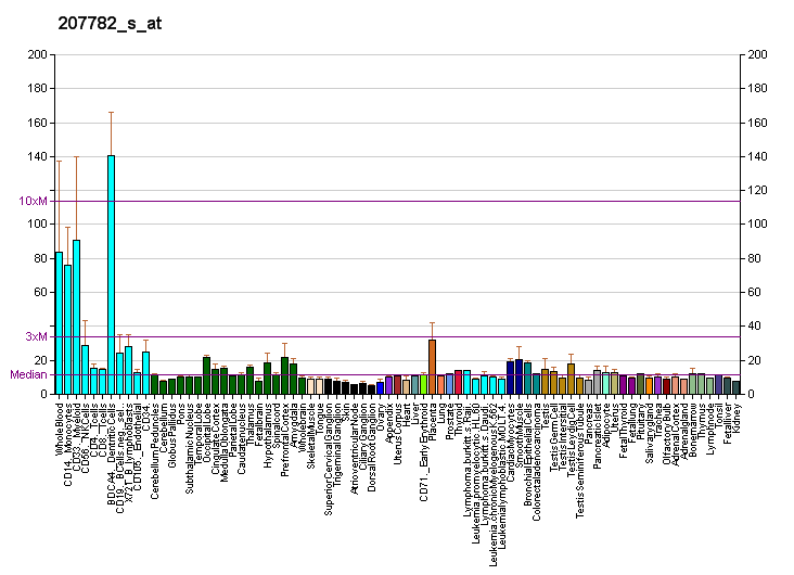 File:PBB GE PSEN1 207782 s at fs.png