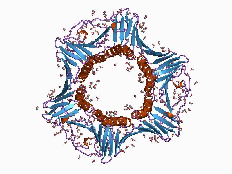 File:PDB 1axc EBI.jpg