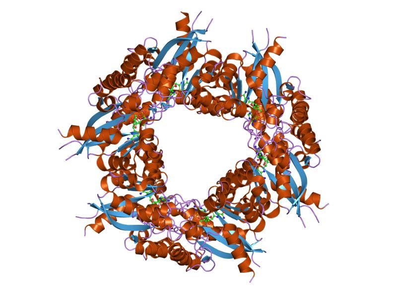 File:PDB 1kr2 EBI.jpg