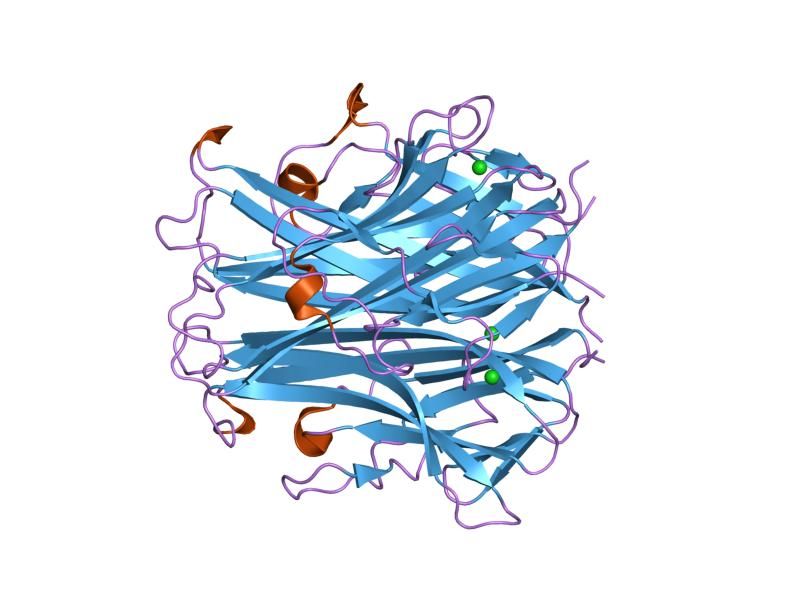 File:PDB 1s55 EBI.jpg