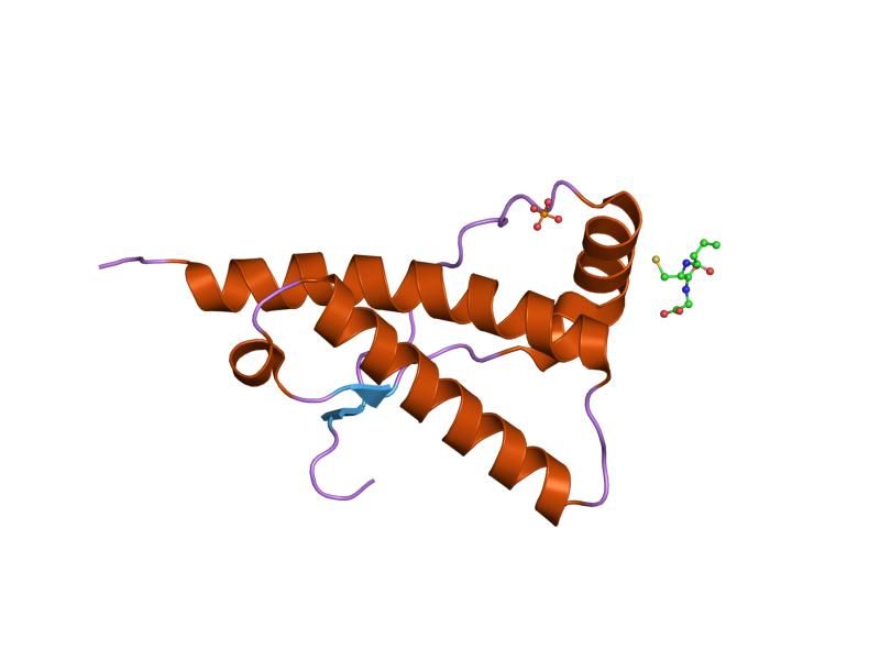 File:PDB 1uw3 EBI.jpg