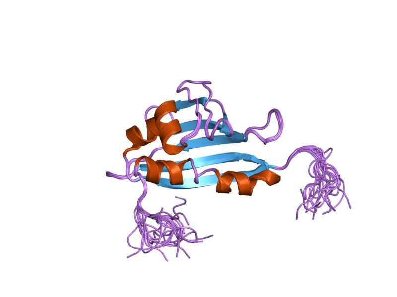 File:PDB 1x53 EBI.jpg