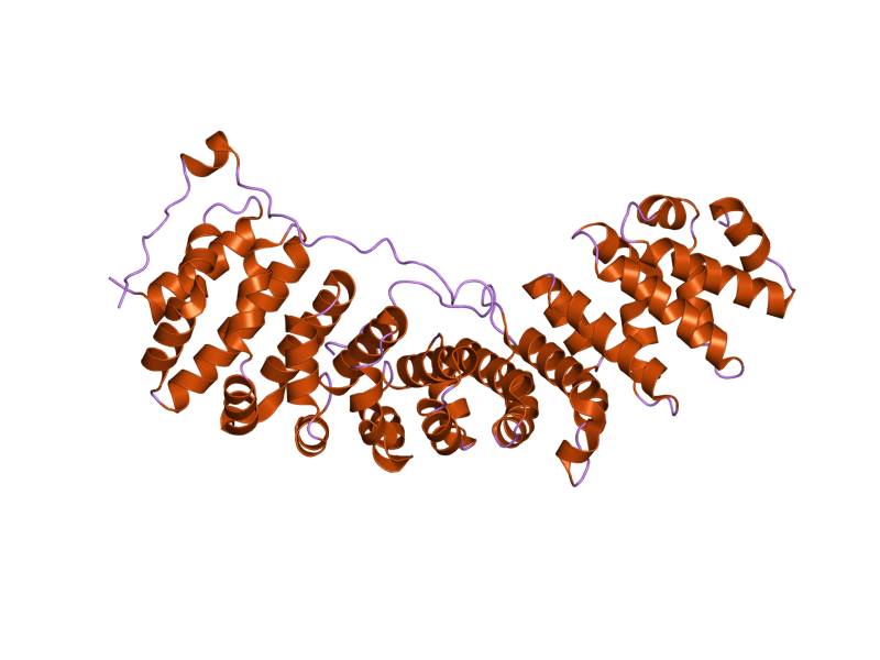 File:PDB 2c1m EBI.png