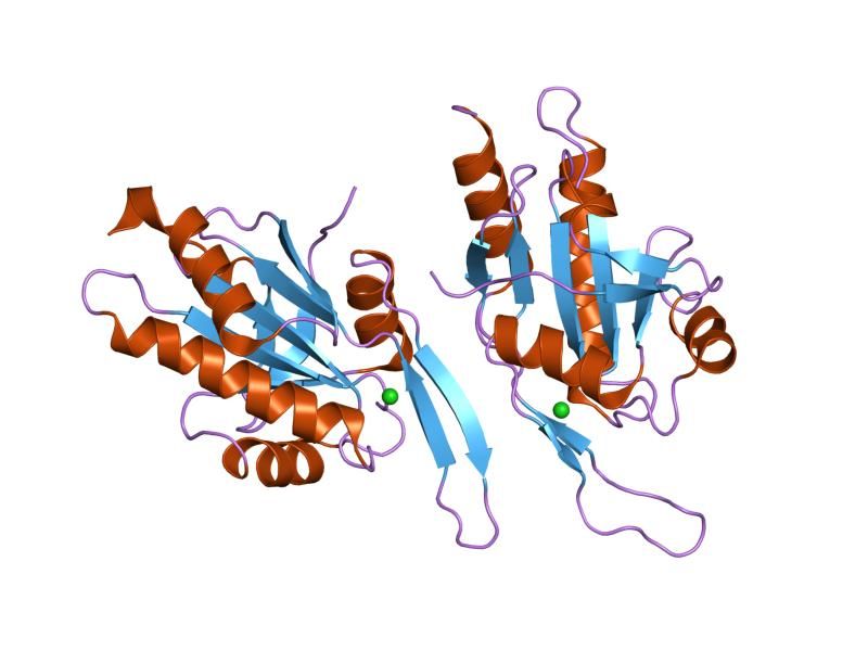 File:PDB 2ggt EBI.jpg