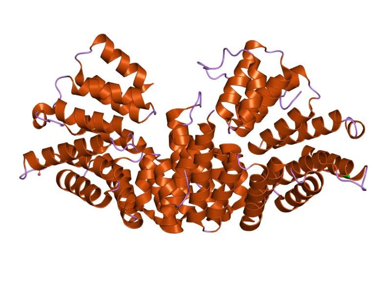 File:PDB 2j9q EBI.jpg