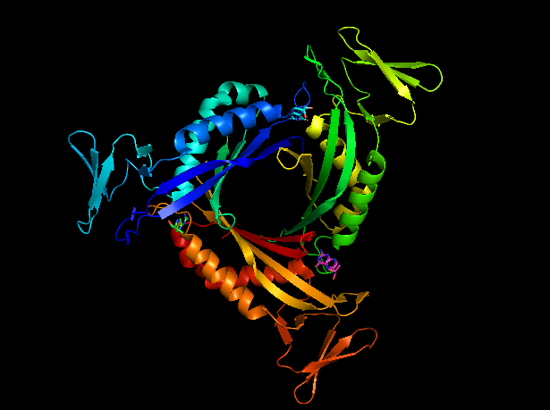 File:PTPS enzyme pymol pretty view.png